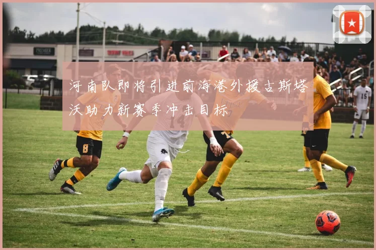 河南队即将引进前海港外援古斯塔沃助力新赛季冲击目标