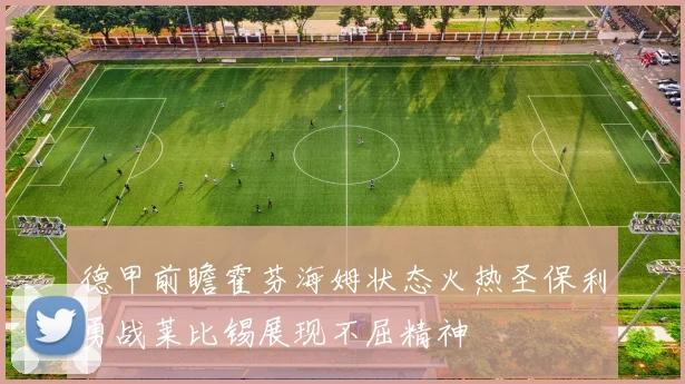 德甲前瞻霍芬海姆状态火热圣保利勇战莱比锡展现不屈精神