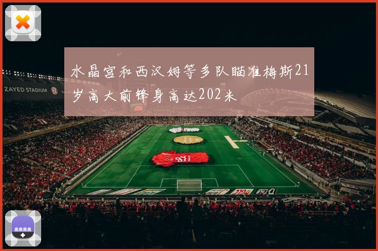水晶宫和西汉姆等多队瞄准梅斯21岁高大前锋身高达202米