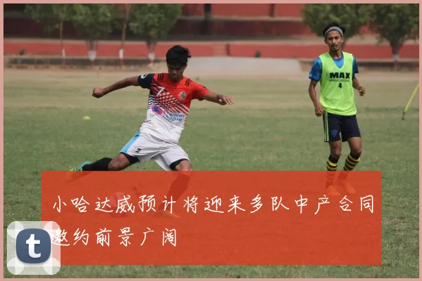 小哈达威预计将迎来多队中产合同邀约前景广阔